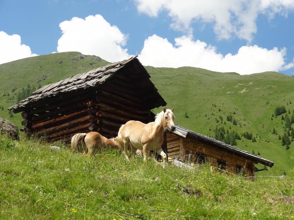 Appartement Gastehaus Zwischenberger à Obervellach Extérieur photo